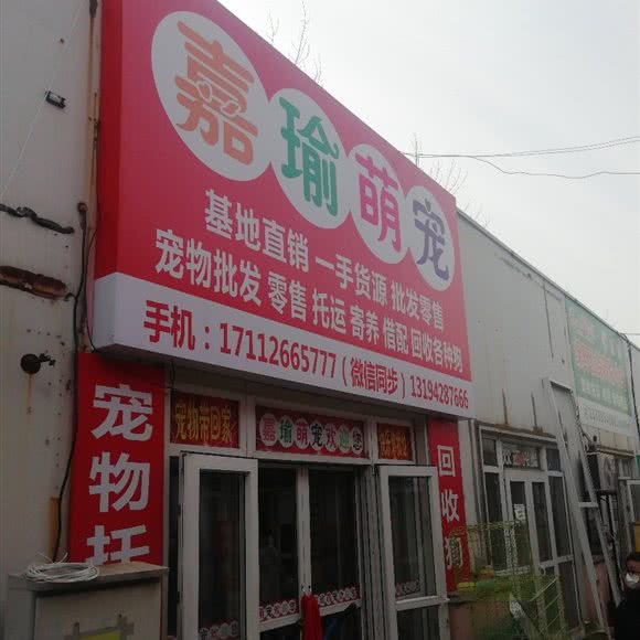 嘉瑜萌宠:大连市西岗区香炉礁附近