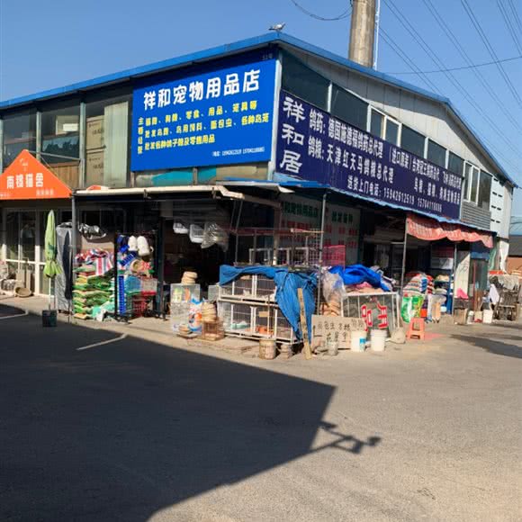 祥和宠物用品店:大连市西岗区香炉礁附近