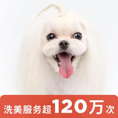 宠物家(方庄桥东店):北京城区朝阳区分钟寺/成寿寺附近