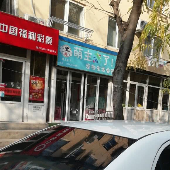 萌主来了宠物生活会馆:大连市西岗区大连站附近