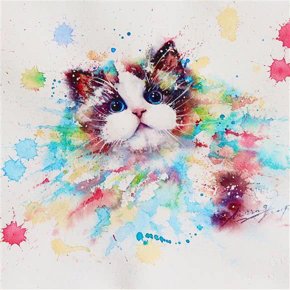 闪电猫布偶猫舍:大连市沙河口区西安路沿线附近