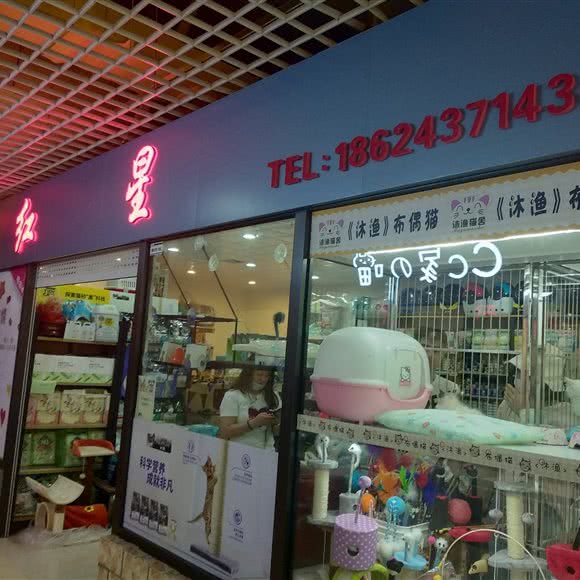 红星:大连市沙河口区西安路沿线附近
