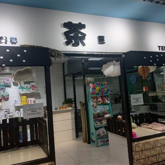茶巨:大连市沙河口区西安路沿线附近