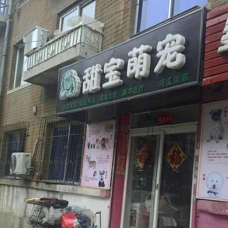 甜宝萌宠:大连市沙河口区西安路沿线附近