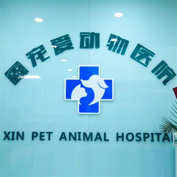 鑫宠爱动物医疗 24h(西安路店):大连市沙河口区西安路沿线附近