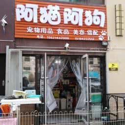 阿猫阿狗:大连市沙河口区黑石礁附近