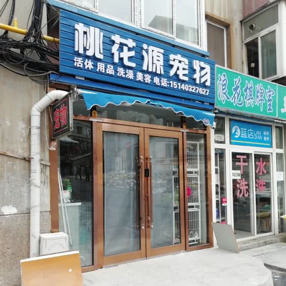 桃花源宠物:大连市沙河口区黑石礁附近