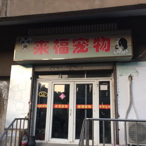 来福宠物:大连市沙河口区马栏子附近