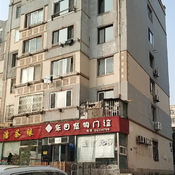 东田宠物门诊:大连市沙河口区马栏子附近