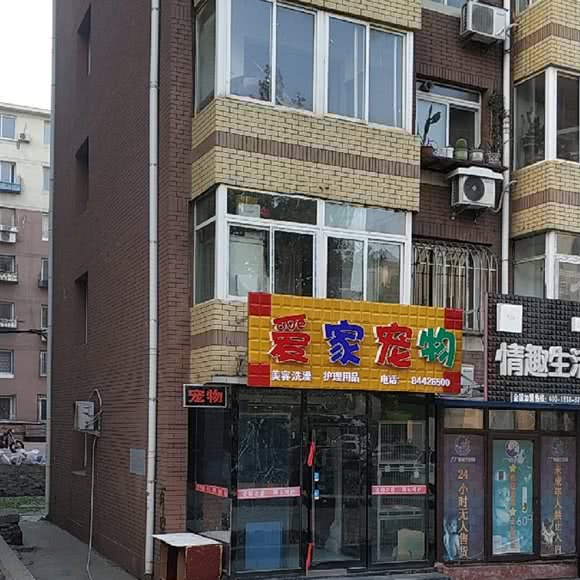 爱家宠物:大连市沙河口区春柳附近