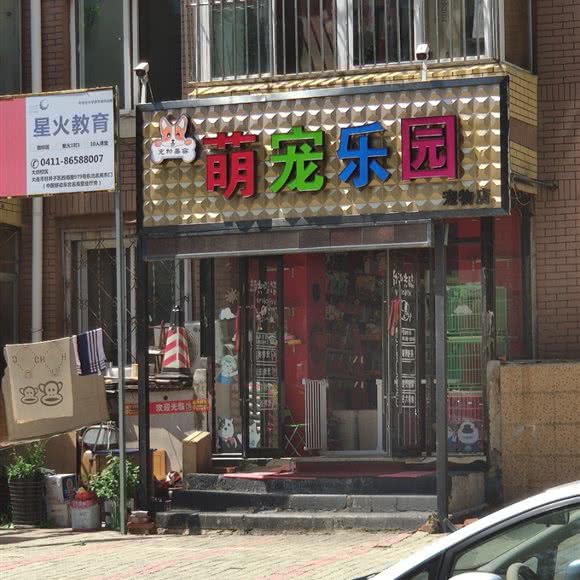 萌宠乐园宠物店:大连市沙河口区春柳附近