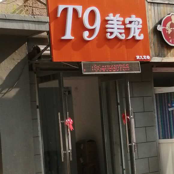 T9美宠:大连市沙河口区春柳附近