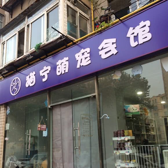猫宁萌宠会馆:大连市沙河口区锦绣附近
