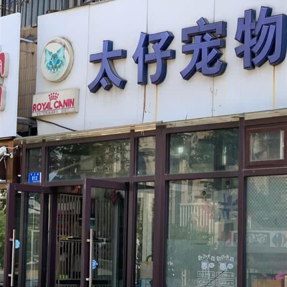 太仔宠物:大连市沙河口区锦绣附近