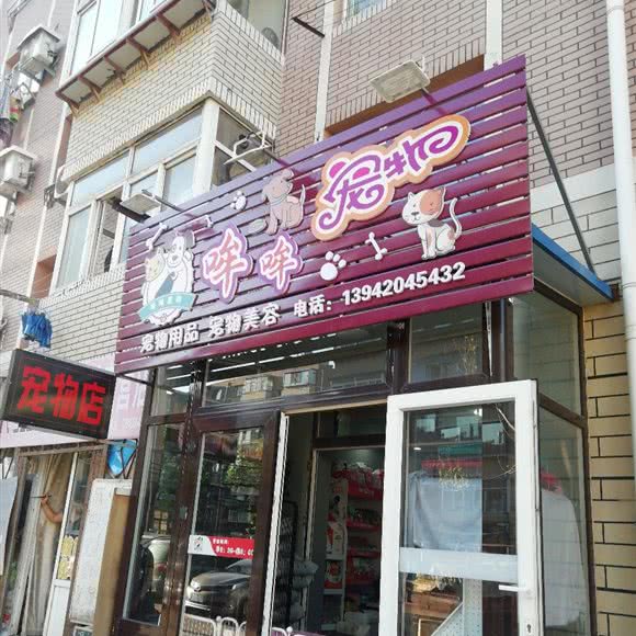 哞哞宠物:大连市沙河口区锦绣附近