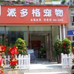 派多格宠物美容(湾家店):大连市沙河口区锦绣附近