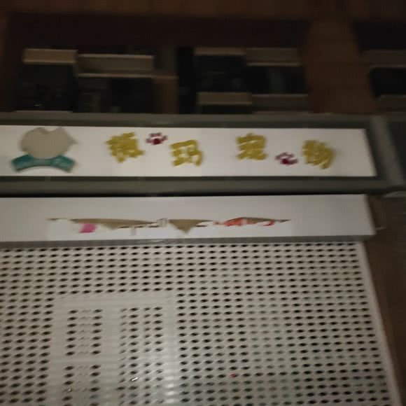 薇帕宠物:北京城区朝阳区朝阳大悦城附近