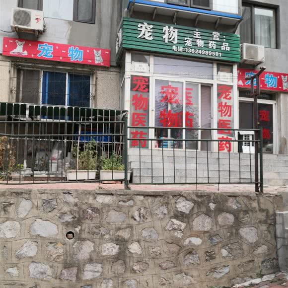 宠物宠物药品:大连市沙河口区锦绣附近