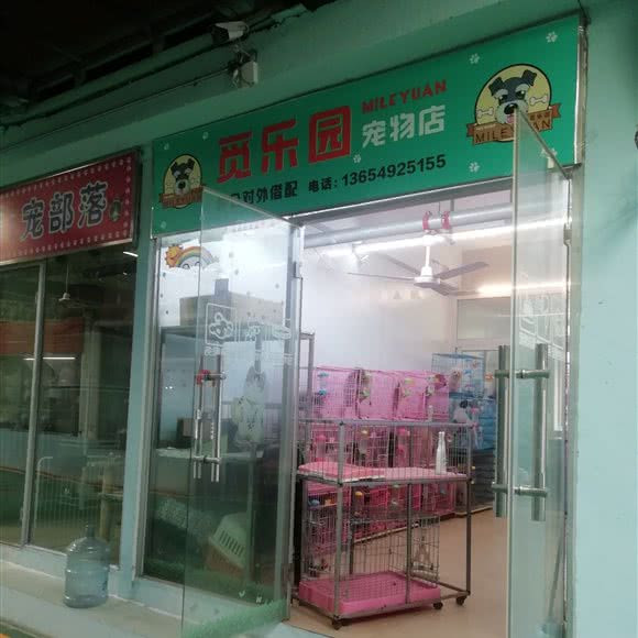 觅乐园 宠物店:大连市沙河口区南沙附近