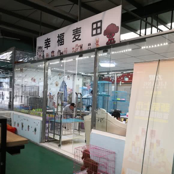 幸福麦田:大连市沙河口区南沙附近