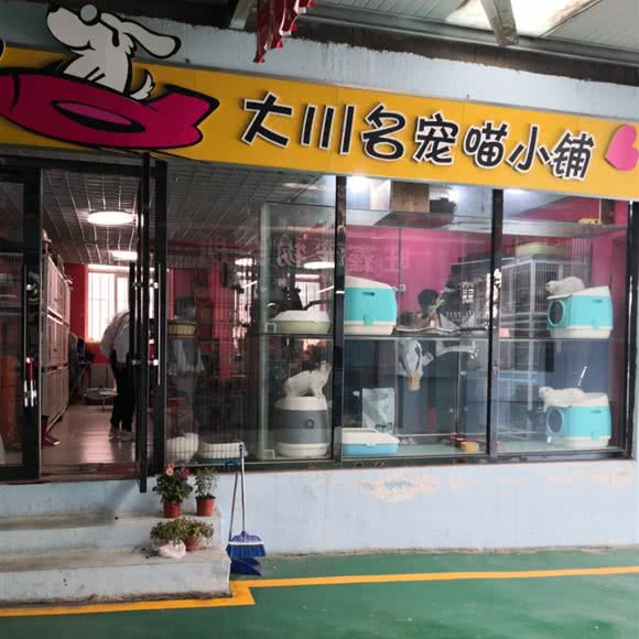 大川名宠喵小铺:大连市沙河口区南沙附近