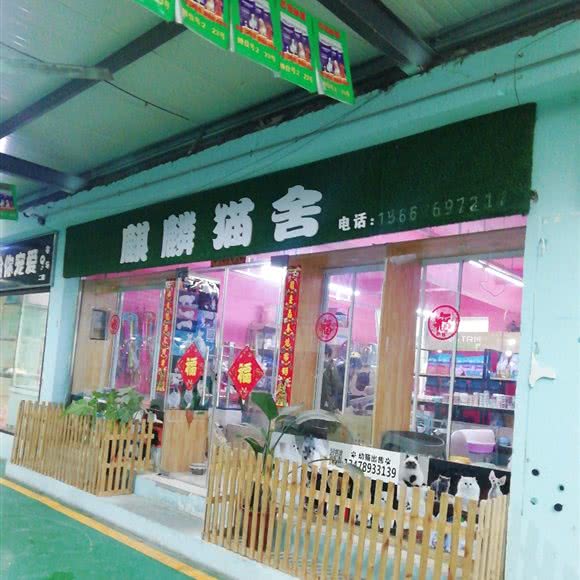 麒麟猫舍:大连市沙河口区南沙附近