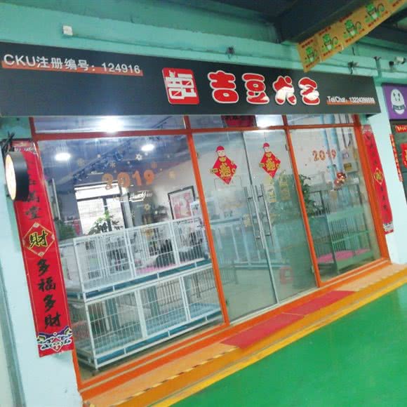吉豆犬舍:大连市沙河口区南沙附近