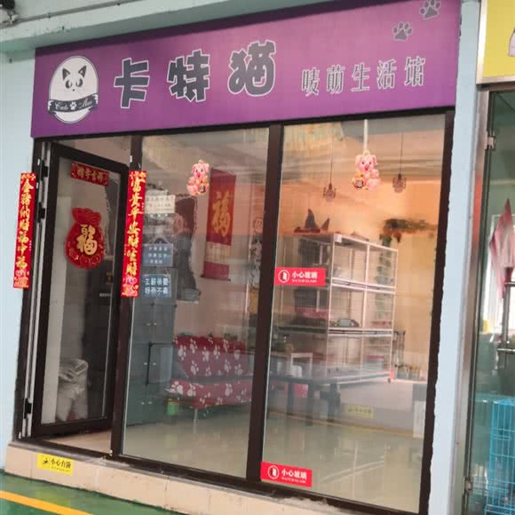 卡特猫唛萌生活馆:大连市沙河口区南沙附近