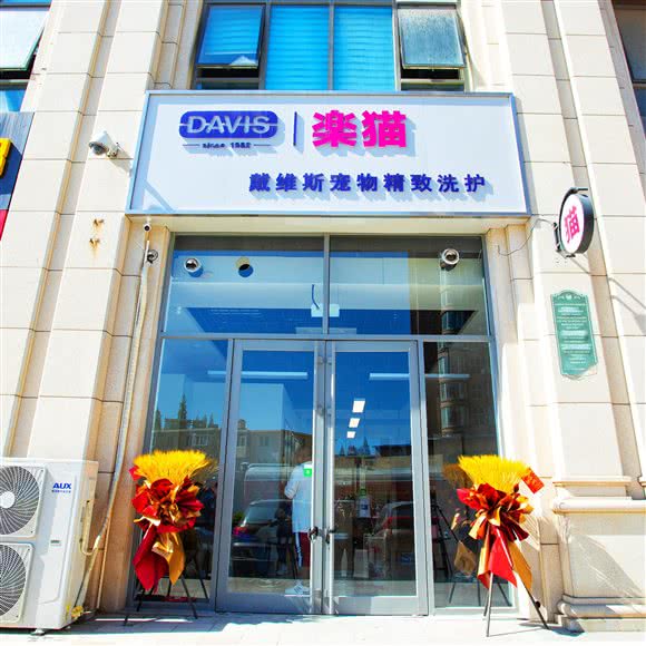 乐猫·戴维斯宠物:大连市沙河口区软件园/数码广场附近