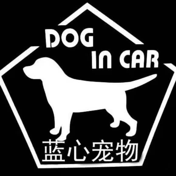 蓝心名宠?名猫名犬活体售卖?高端宠物繁育基地:北京城区朝阳区朝阳大悦城附近