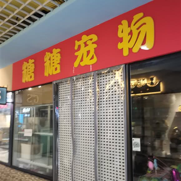 糖糖宠物:大连市沙河口区福佳新天地附近