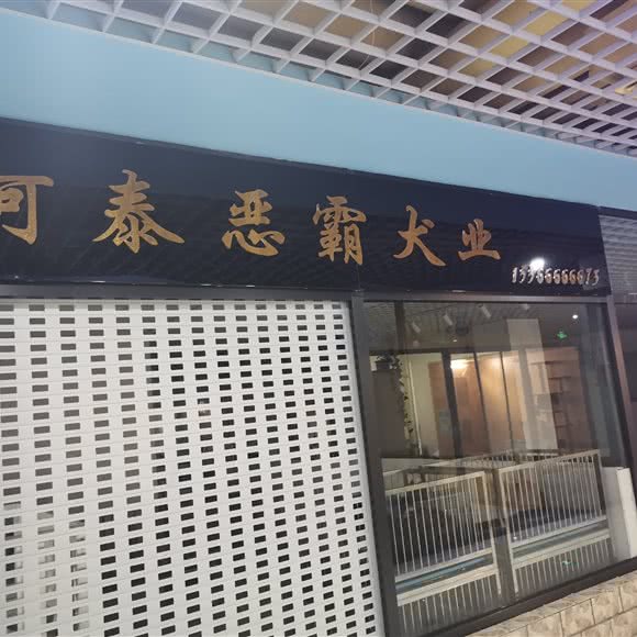阿泰恶霸犬业:大连市沙河口区福佳新天地附近