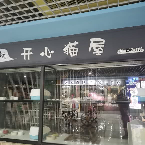 峰哥开心猫屋:大连市沙河口区福佳新天地附近