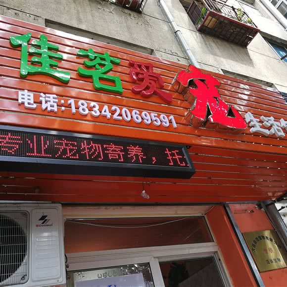 佳茗爱宠生活馆:大连市沙河口区解放广场附近