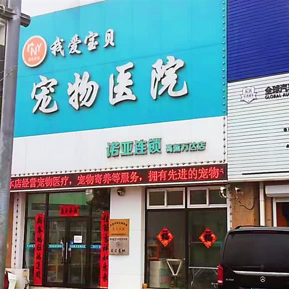 我爱宝贝宠物医院:大连市甘井子区万达广场附近