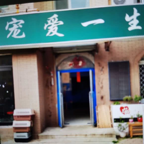 宠爱一生:大连市甘井子区周水子附近