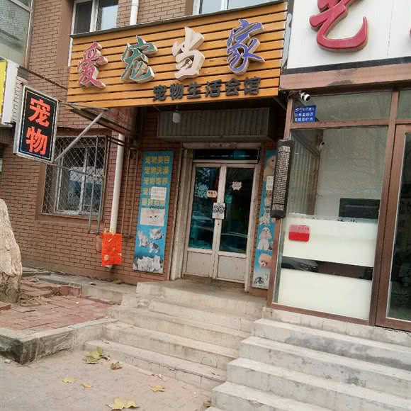 爱宠当家:大连市甘井子区周水子附近
