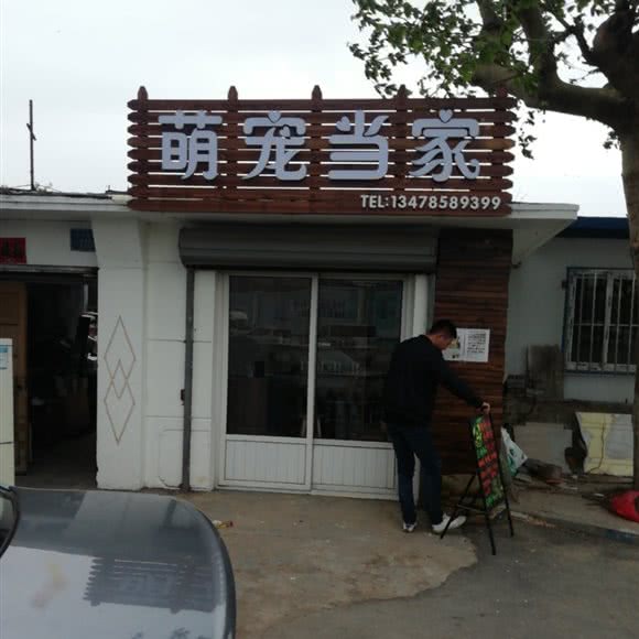 萌宠当家:大连市甘井子区周水子附近