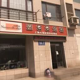 爱它它宠物:大连市甘井子区周水子附近