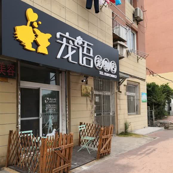 宠语宠物店:大连市甘井子区周水子附近
