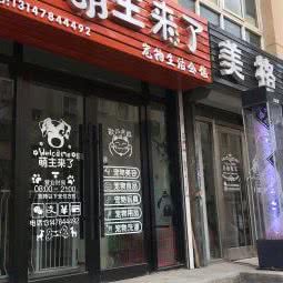 萌主来了宠物店生活会馆:大连市甘井子区周水子附近