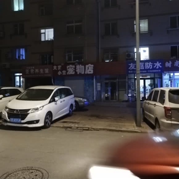 大宝小宝宠物店:大连市甘井子区周水子附近