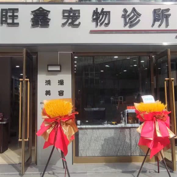 旺鑫狗狗诊所:大连市甘井子区周水子附近