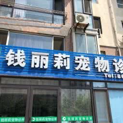 钱丽莉宠物诊所:大连市甘井子区周水子附近