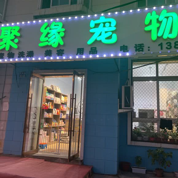 聚缘宠物店:大连市甘井子区周水子国际机场附近