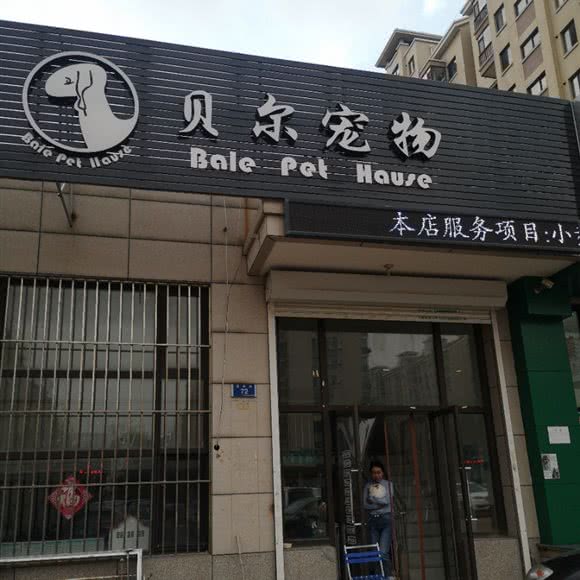 贝尔宠物:大连市甘井子区周水子国际机场附近