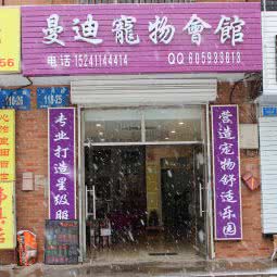 曼迪宠物会馆:大连市甘井子区山东路沿线附近
