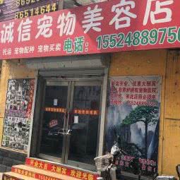 诚信宠物美容店:大连市甘井子区华南广场附近
