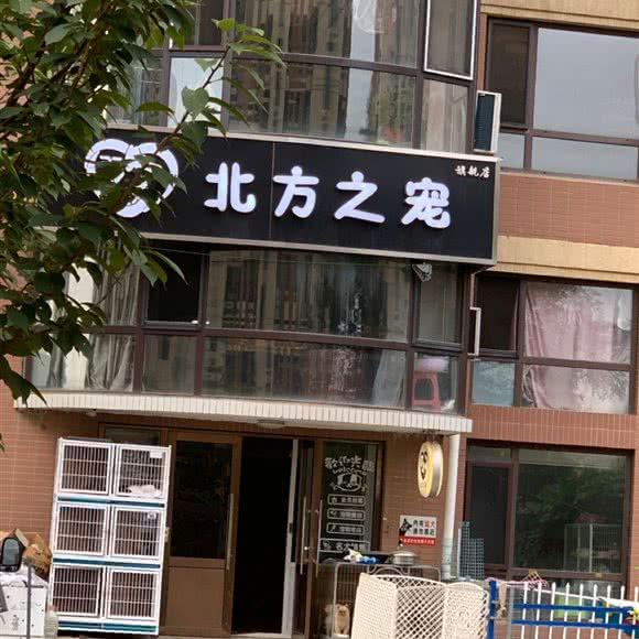 北方之宠旗舰店:大连市甘井子区泉水附近