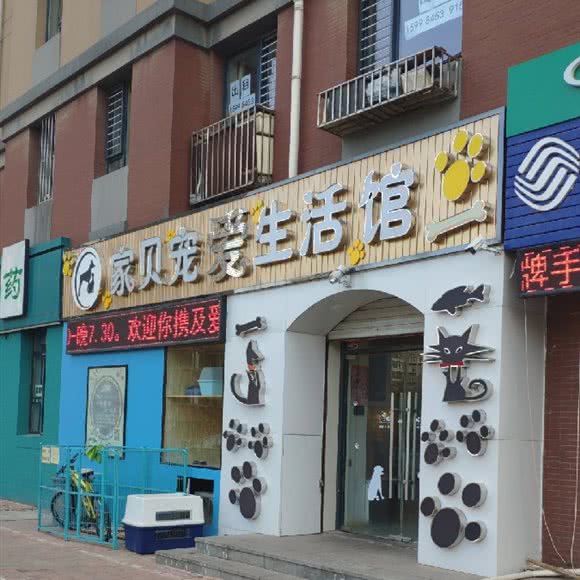 家贝宠爱宠物生活馆:大连市甘井子区泉水附近